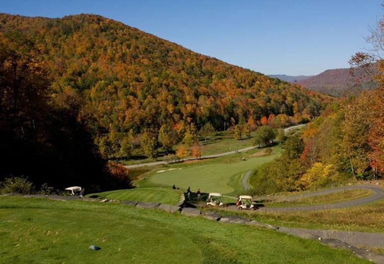 Allegheny Springs Snowshoe Exterior foto