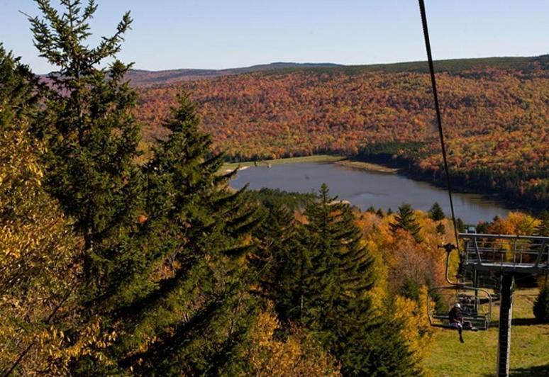 Allegheny Springs Snowshoe Exterior foto