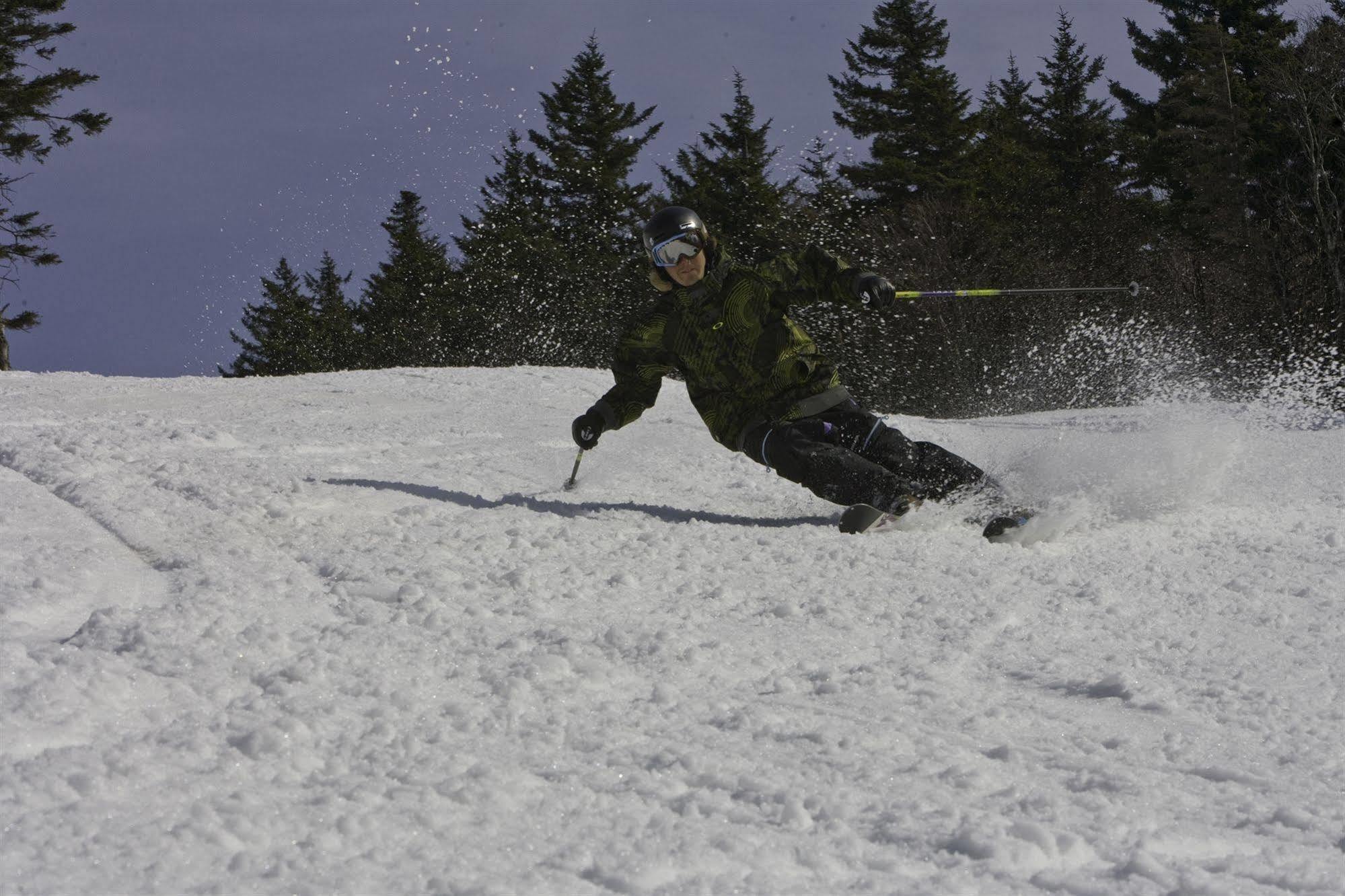 Allegheny Springs Snowshoe Exterior foto