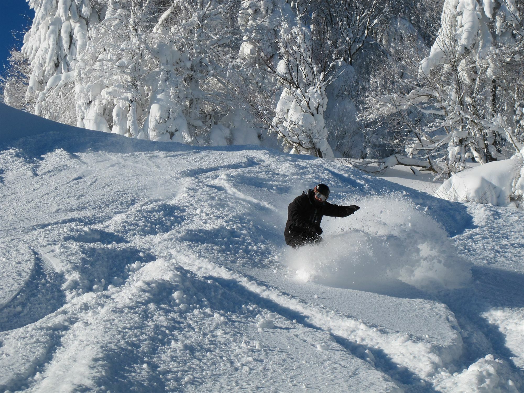 Allegheny Springs Snowshoe Exterior foto